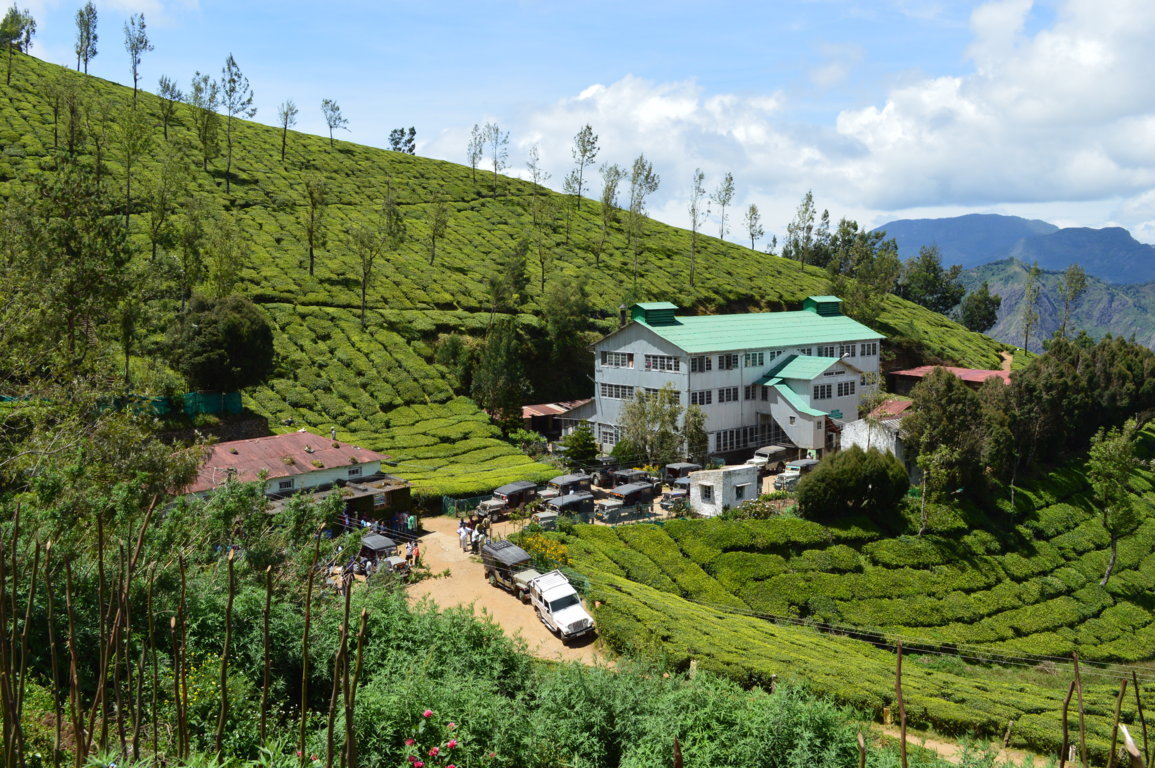 kolukkumalai tea factory visit